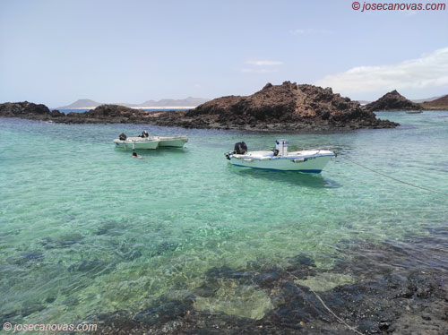 pisci2