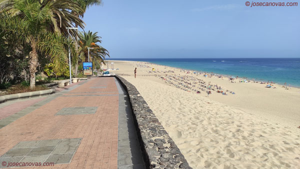 paseo4