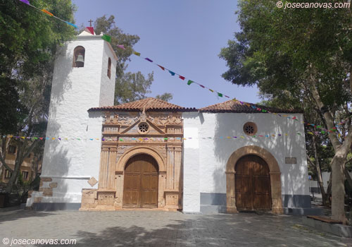 pajara2