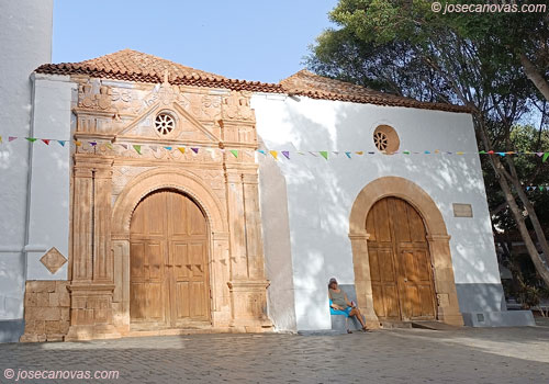 pajara3