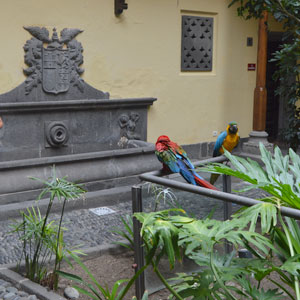 fotocolumna