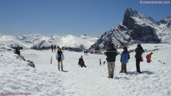 picos2