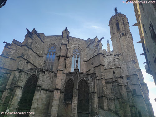 catedral3