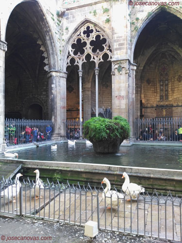 claustro