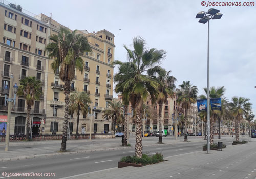 paseo