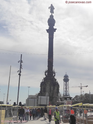 colon