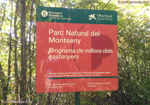 cartel