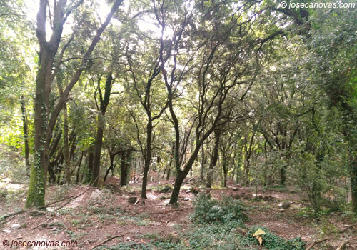 encinas2