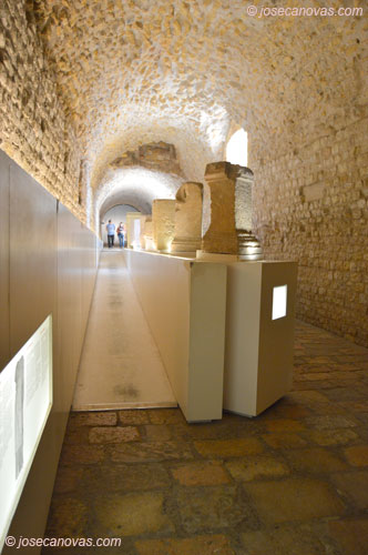 galeria3