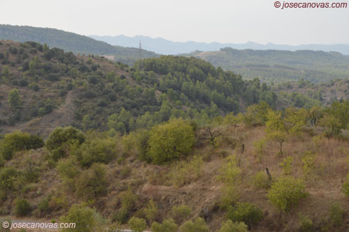 paisaje2