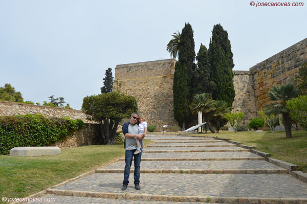 fortin2