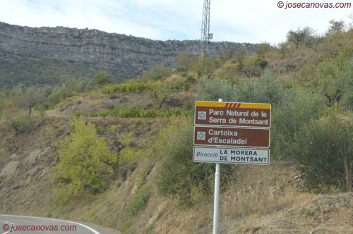 escaladei