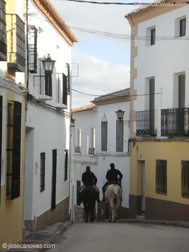 caballos