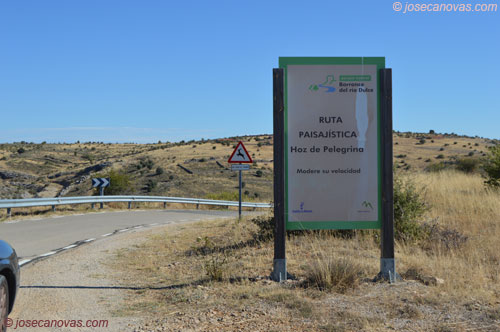 ruta