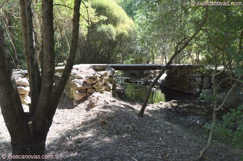 molino2