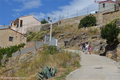 pelegrina