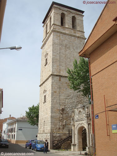 martin2
