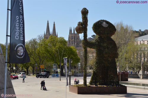 burgos