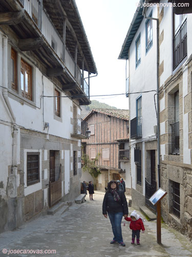fonseca