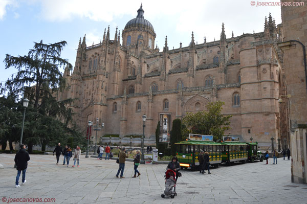 catedral