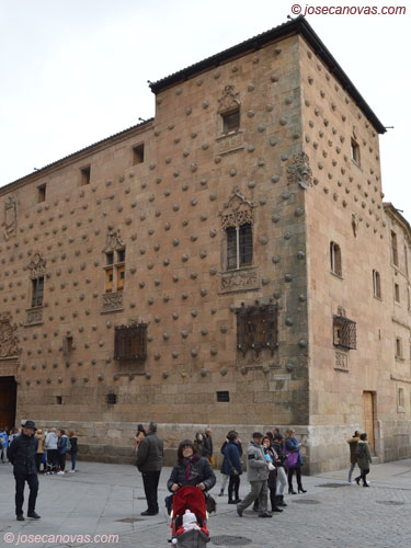 conchas2