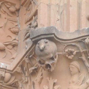 fotocolumna