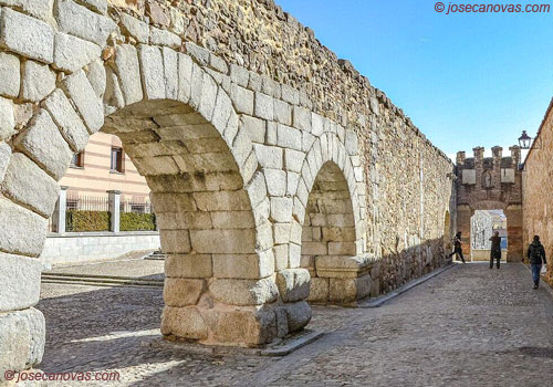 avendano