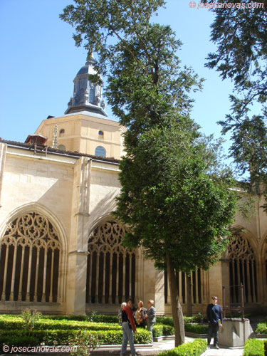catedral3