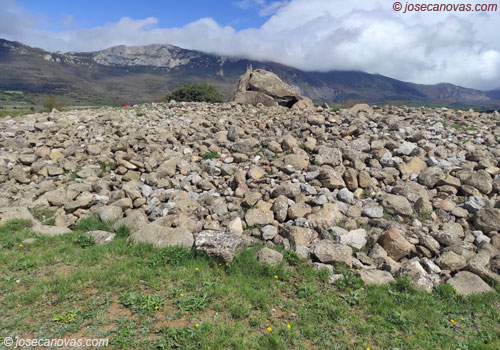 piedras