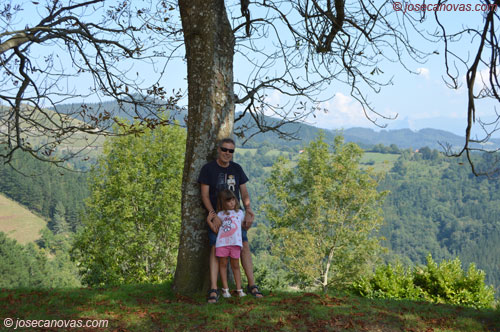 vistas