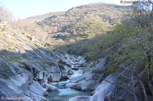 pilones2