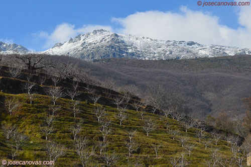 tornavacas3
