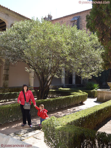 claustro