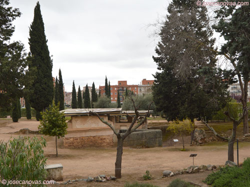 colum