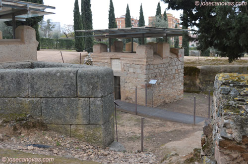 voconios