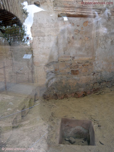voconios2