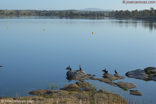 embalse3