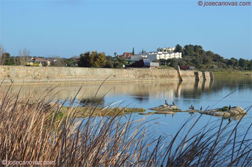 presa2