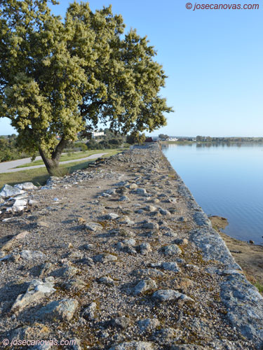 presa3
