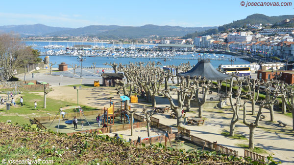 palma