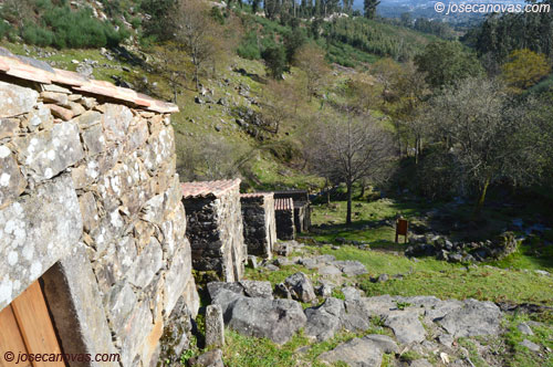 maceira3