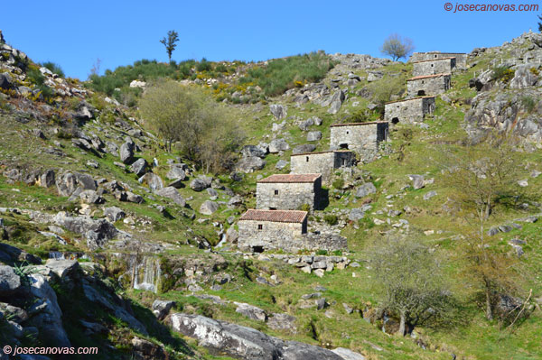 maceira4