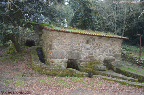 gaiteiro