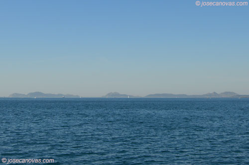 cies