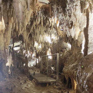 fotocolumna