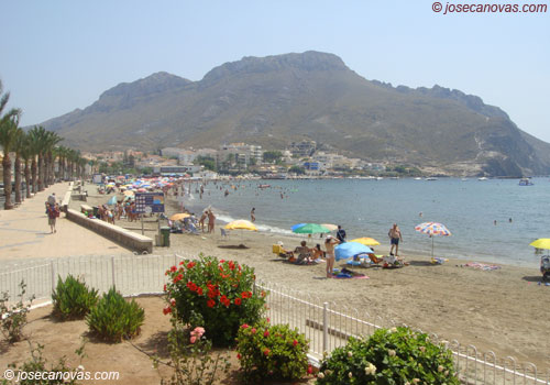 bardina
