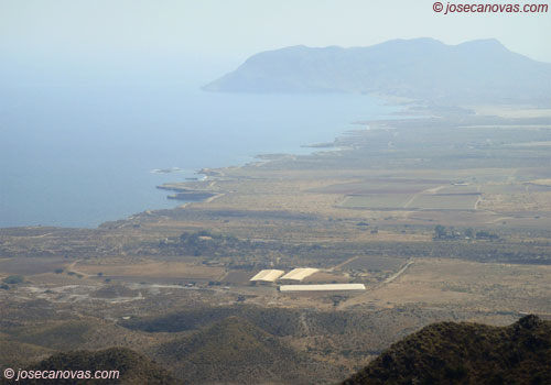 calnegre