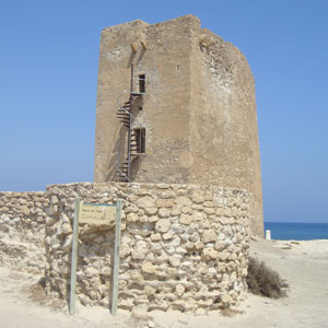 fotocolumna