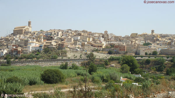 panoramica