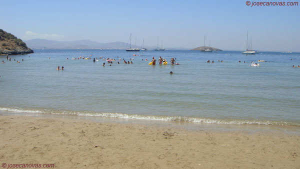 pino2